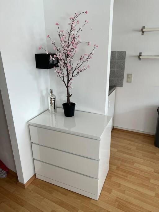 Kleines Apartment Im Zentrum Von Wuerzburg Exteriér fotografie