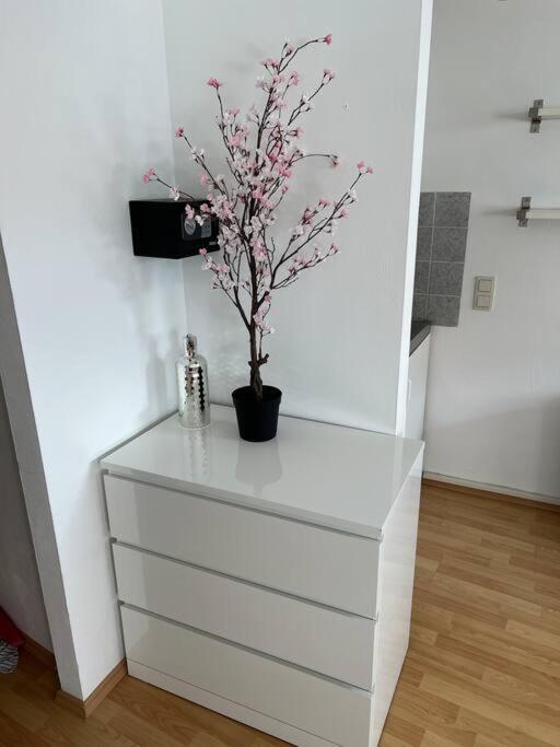 Kleines Apartment Im Zentrum Von Wuerzburg Exteriér fotografie